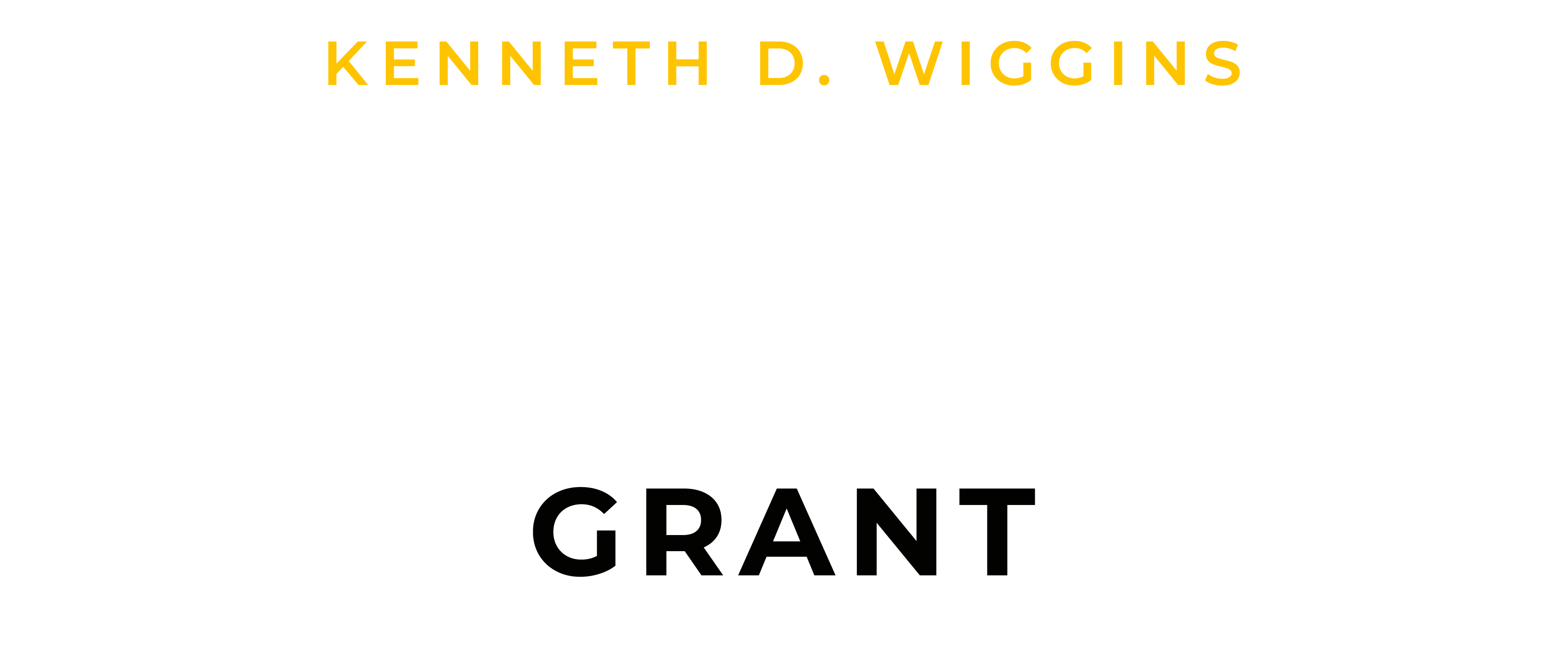 G.NIUS Grant Logo